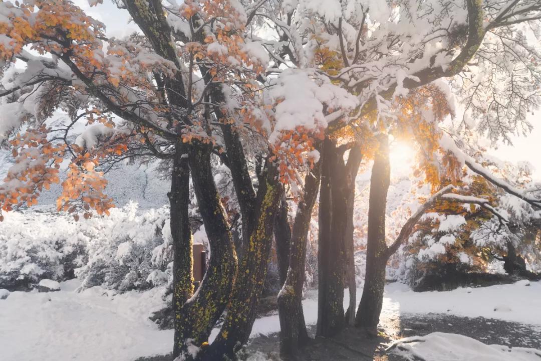 冰雪摄影实战推荐,雪地摄影前期参数