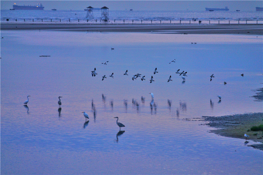 河北最宜居的城市有哪几个,河北最宜居的城市是哪个