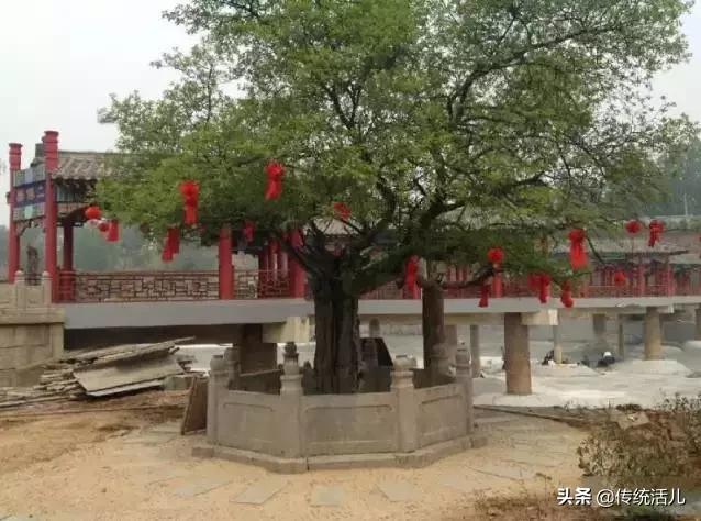 杜康酒是诗里的杜康么,杜康文化杜康造酒是怎么回事