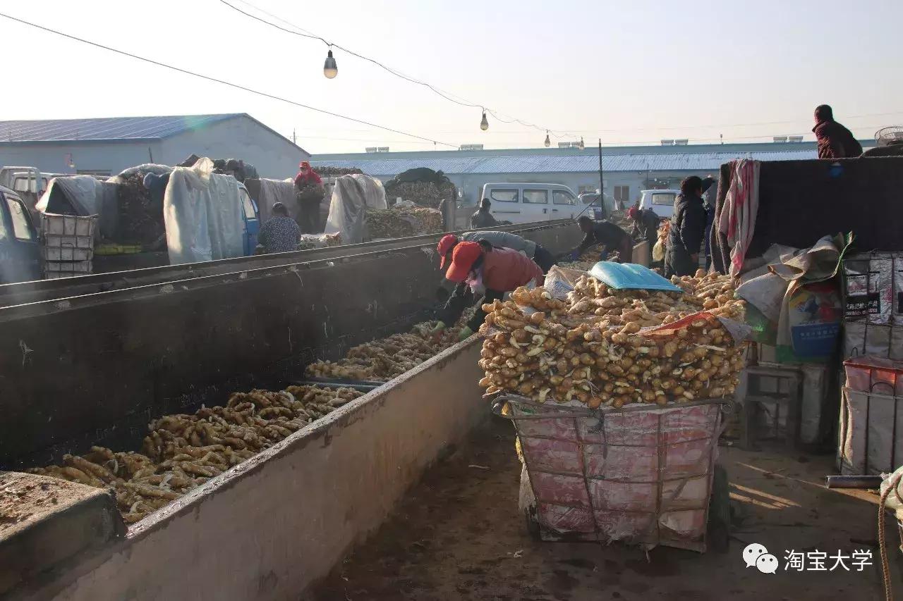 他网上卖的生姜老外买了都说好，轻轻松松三百万