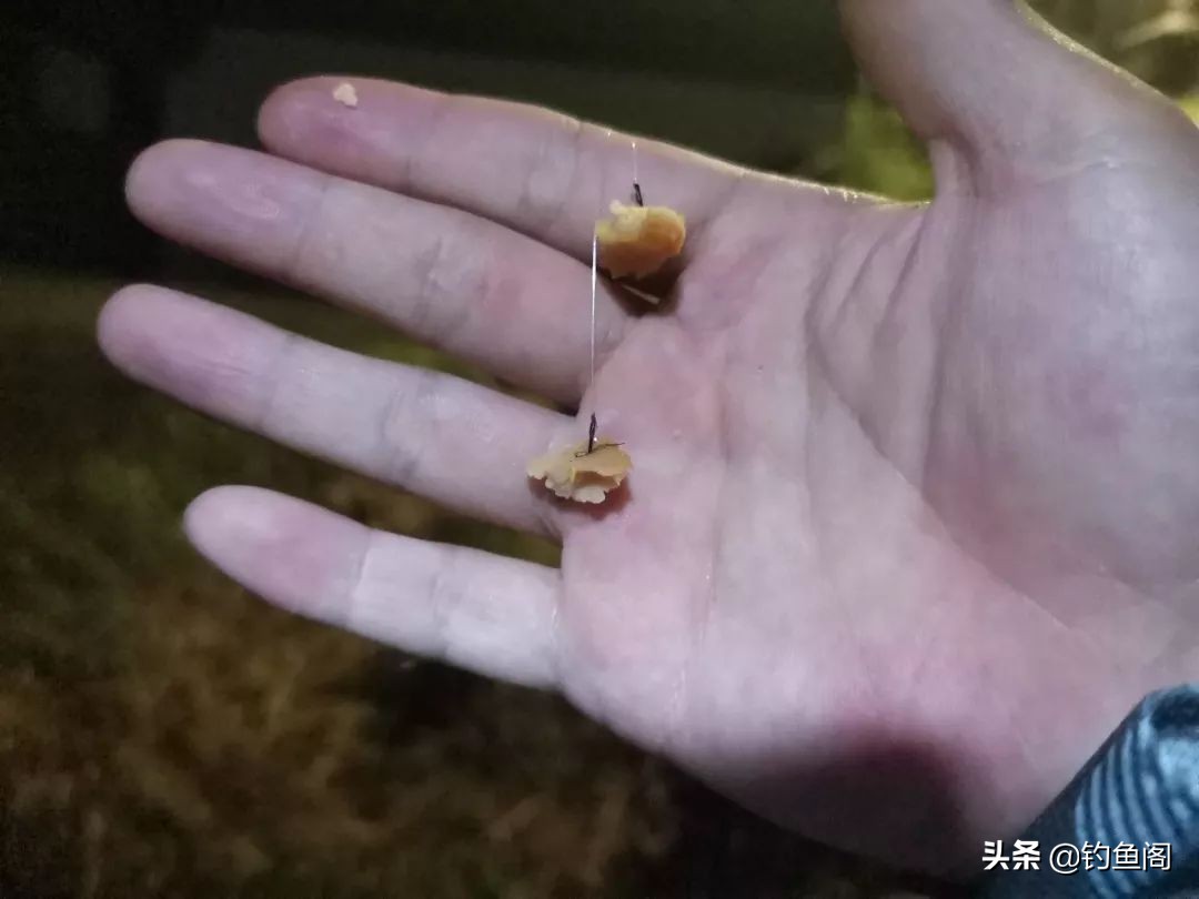 口香糖能不能钓鱼,口香糖钓鱼适合台钓吗