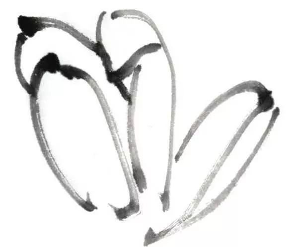 白描荷花100幅画法,荷花的画法白描图