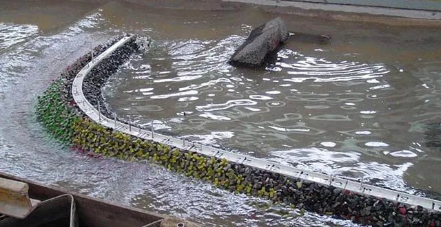 深圳湾在哪里,深圳湾是什么区的