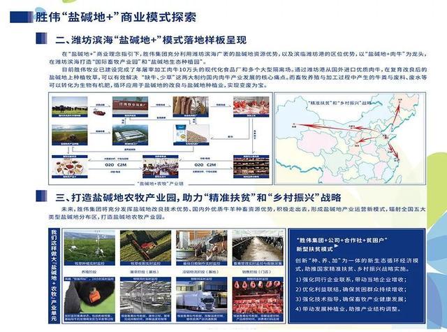 肉牛养牛技术大全,盐碱地养牛的方法