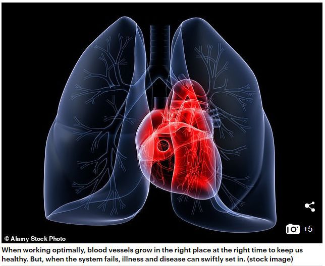 澳洲最好的抗癌药品,澳洲健康饮品真的有用吗
