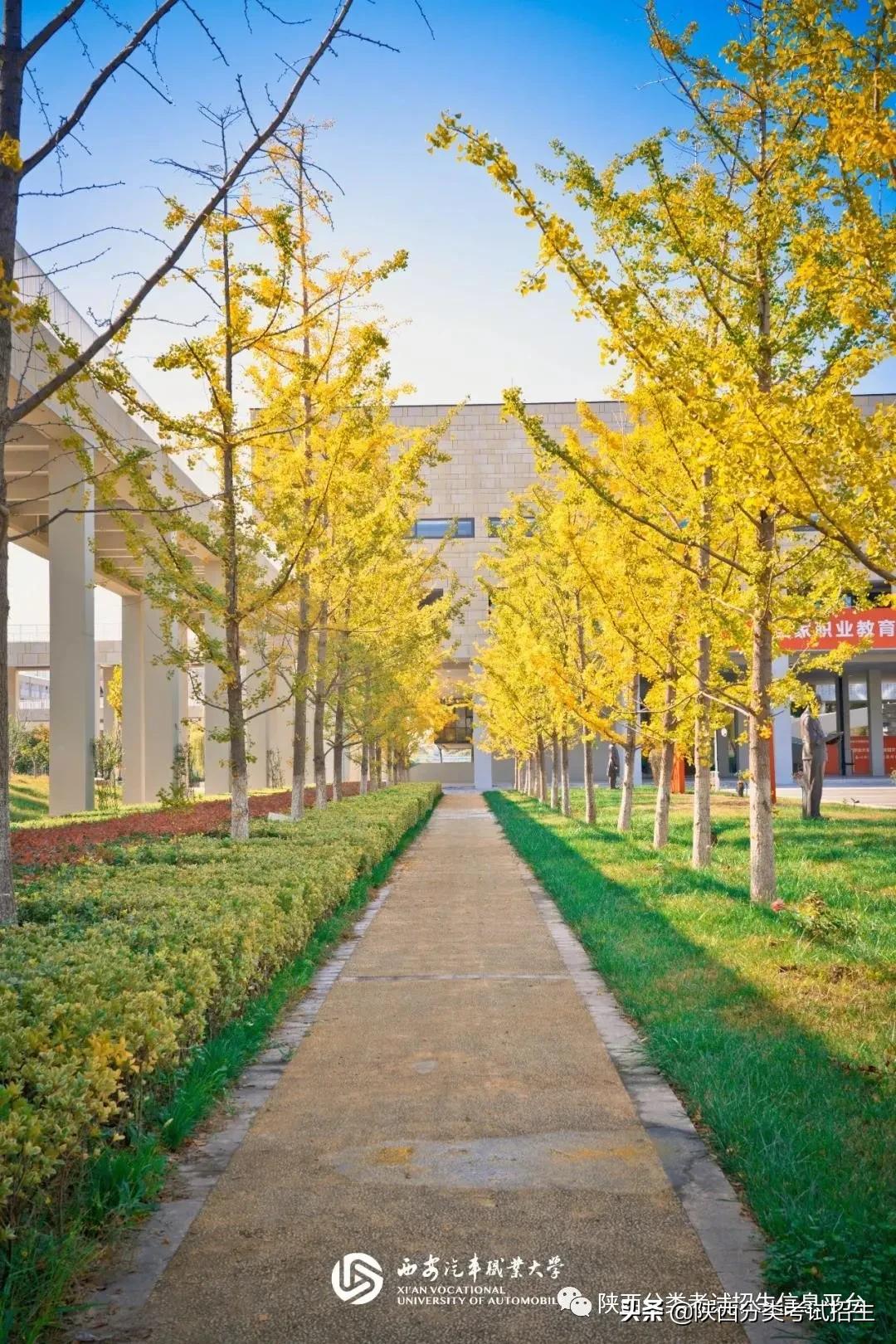 汽车领域黄埔|西安汽车职业大学