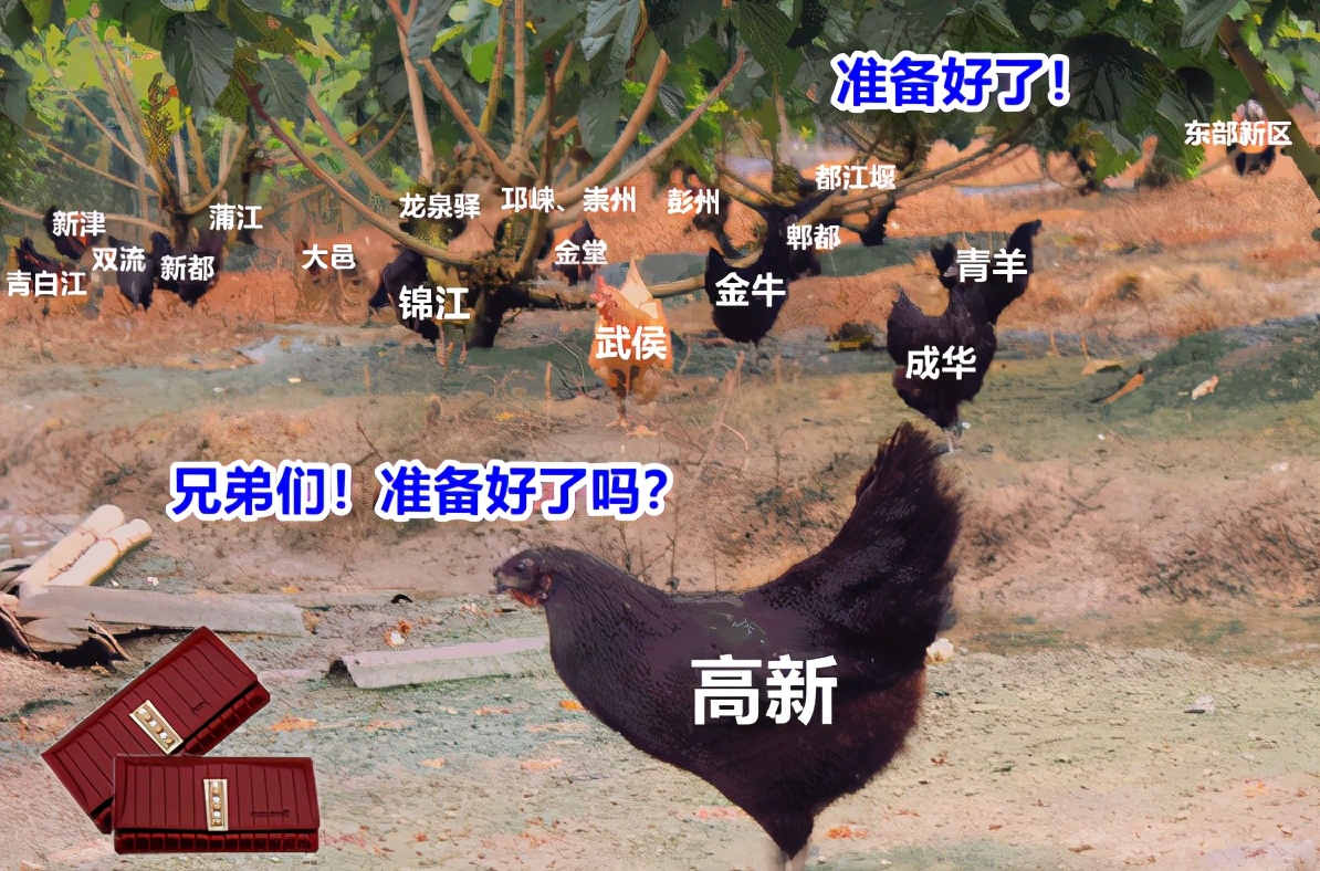 成都平均薪水,成都各区平均工资排名