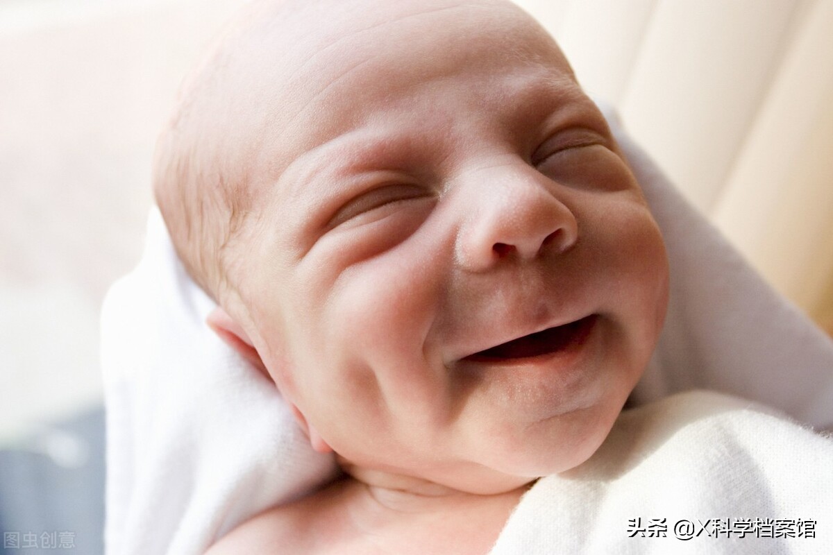 让你大开眼界的生物视频,大开眼界的新物种