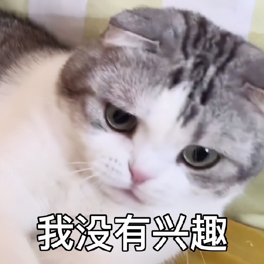 好困不想努力了表情包是什么意思,不想睡觉睡醒了就要上班了表情包