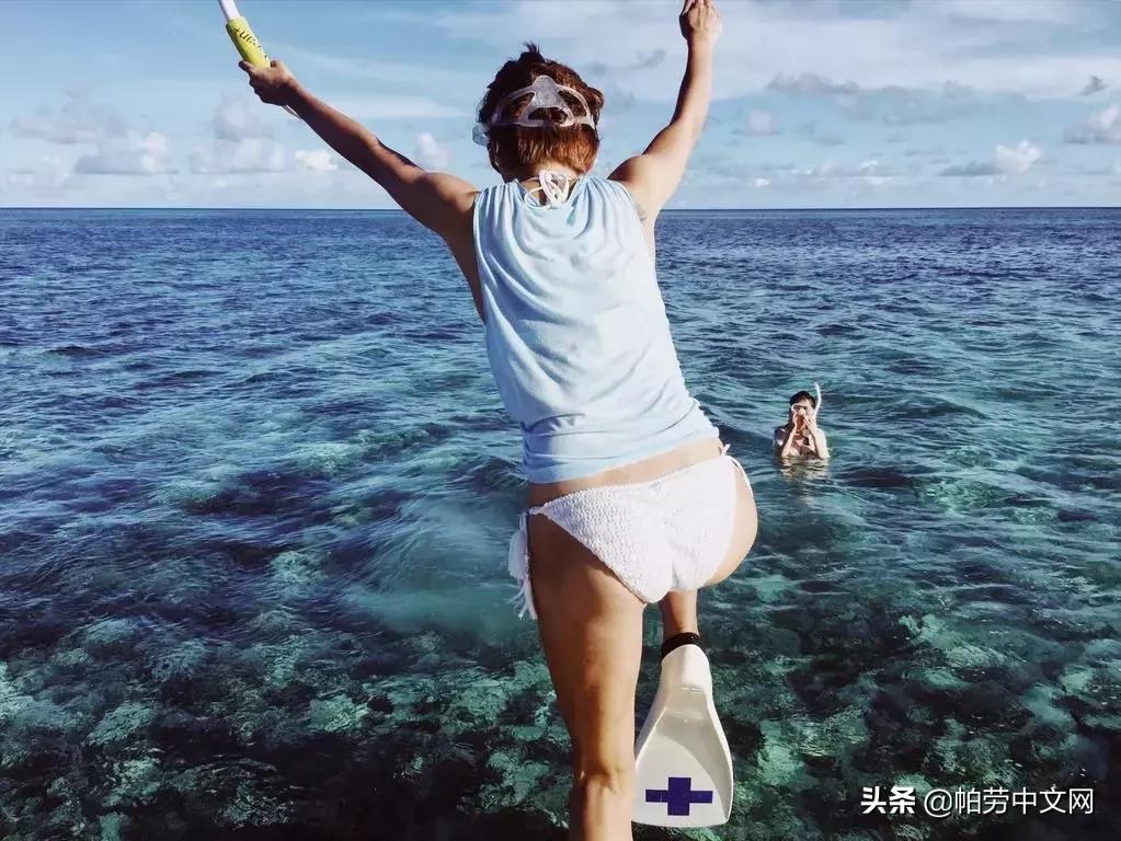 帕劳旅行水母湖,帕劳水母湖海岛