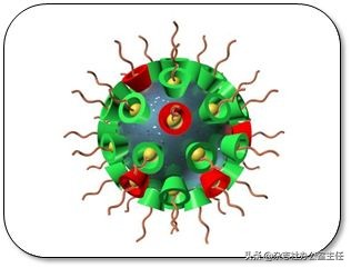 科研绘图流程模板,科研绘图教程