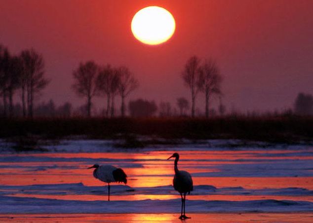 原创诗词七绝新韵,原创诗词五言绝句