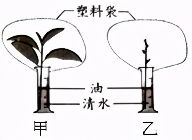 临沂市生物实验操作考试视频,临沂物理实验操作考试试题