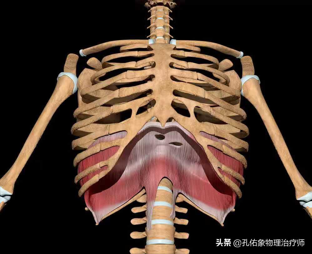 孕妈妈产后为什么会腰痛,产后三个月的宝妈腰酸腰疼咋回事