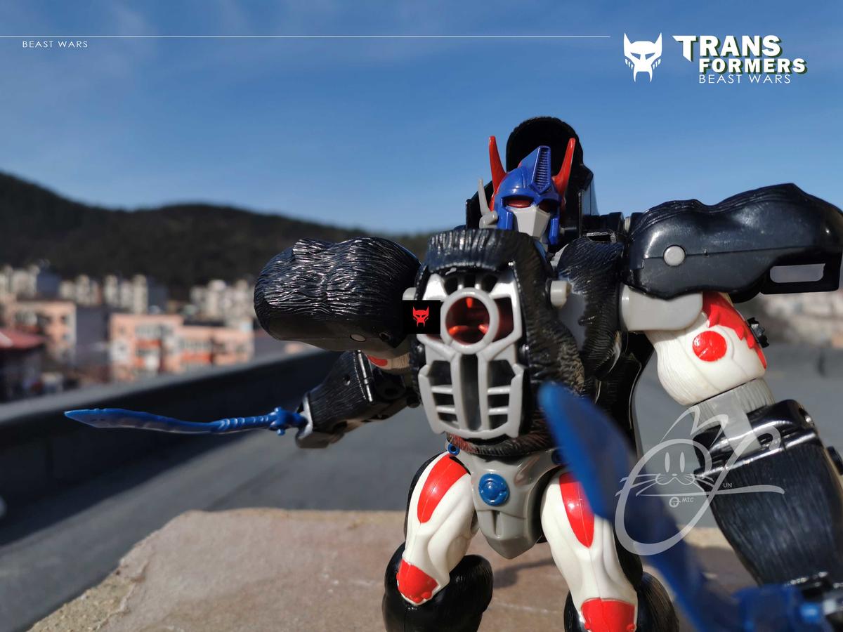 bw金属变体霸王龙威震天,变形金刚bwvs01测评