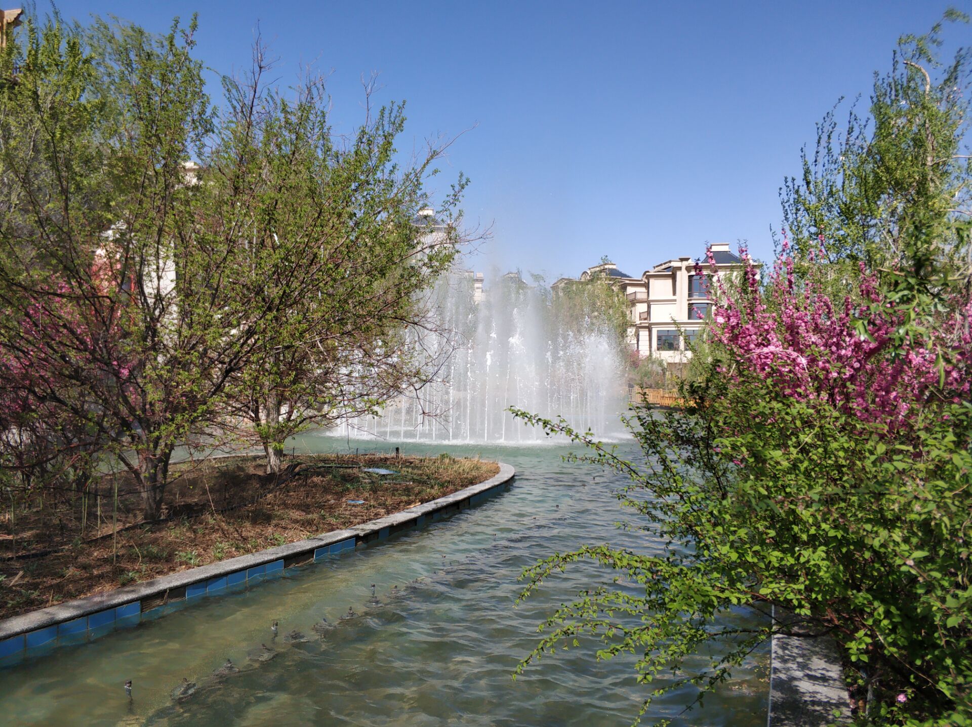 乌鲁木齐居然有这么漂亮的地方,乌鲁木齐周边森林公园在哪里