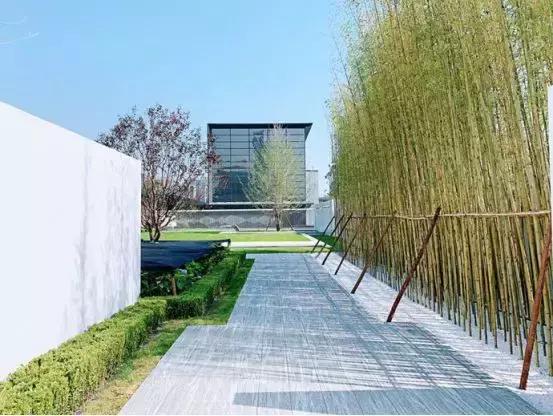 壹号商业揭秘,壹号本有什么优缺点