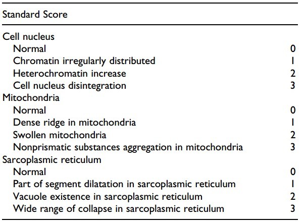 北京协和医院治心脏好吗,体外心脏震波治疗系统