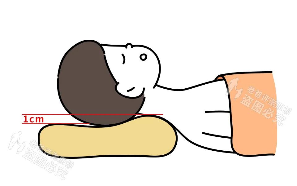 枕头仅仅是用来枕头的吗,枕头也可以当被子