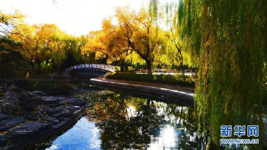 来呼和浩特感受草原之夜,呼和浩特怎么去呼伦贝尔大草原