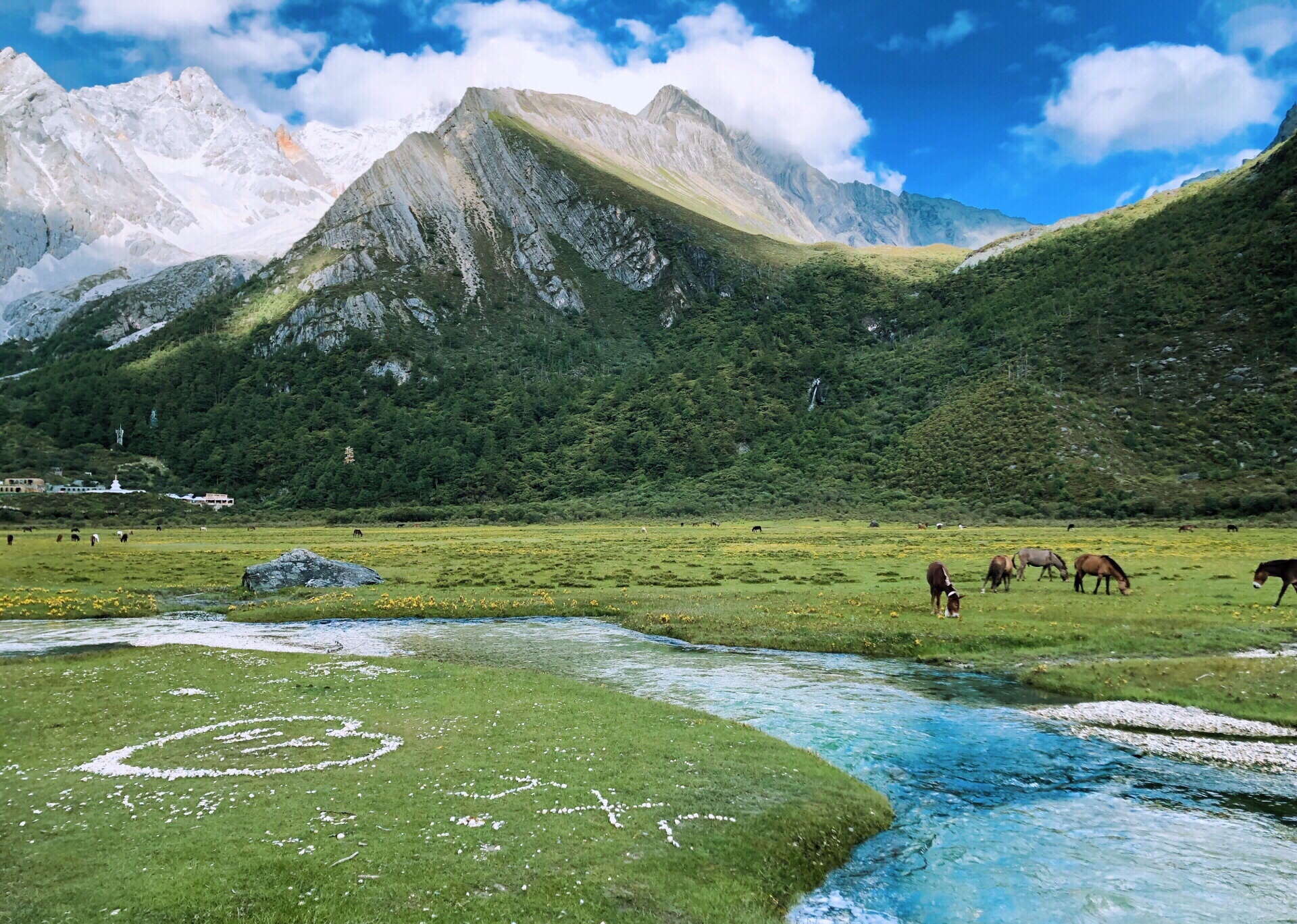 稻城亚丁旅游攻略跟团,九寨沟稻城亚丁成都路线怎么安排