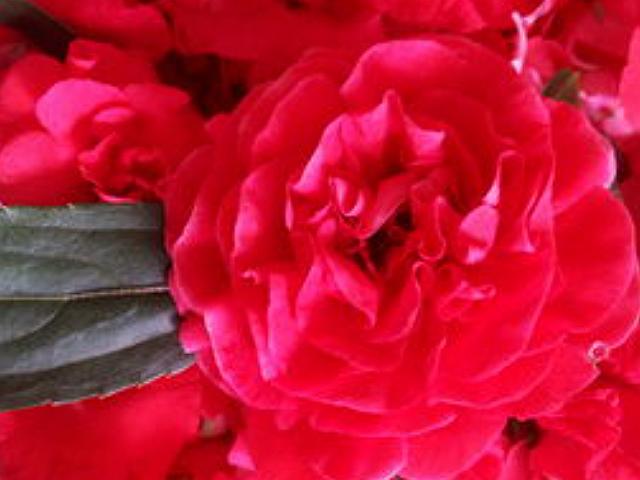 小时候家里很穷买不起橡皮糖,用家里常见的普通的东西做指甲油