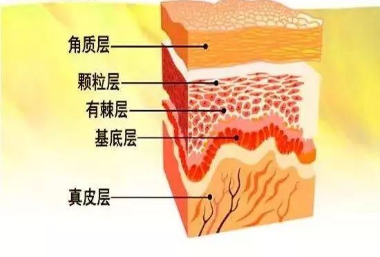 377美白淡斑精华液小安瓶原液,安瓶精华液和原液图片