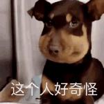 不小心刮蹭别人车留字条更麻烦吗,不小心蹭到别人的车怎么留纸条