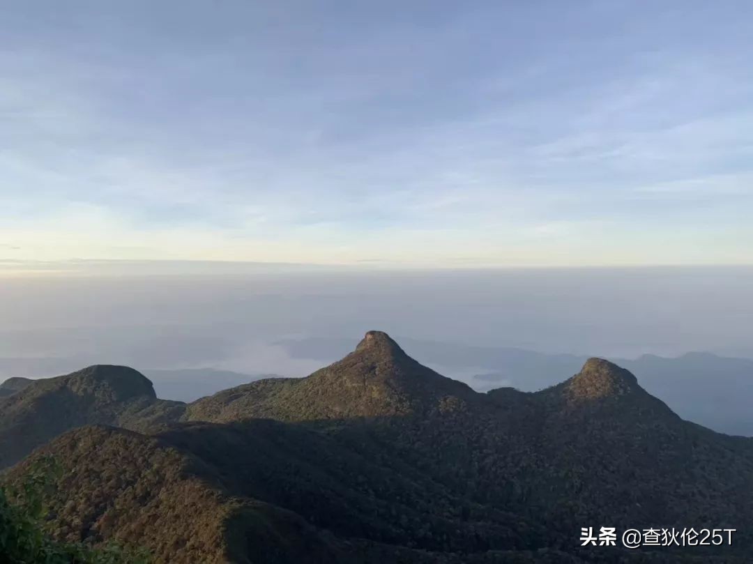 斯里兰卡努沃埃利耶小镇,斯里兰卡努沃勒埃利耶茶厂