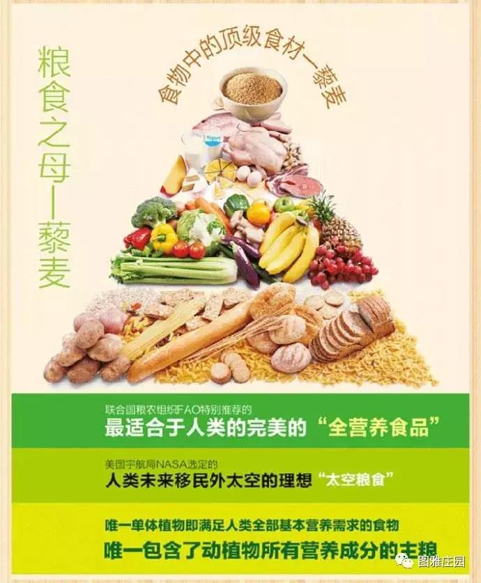 假如被困荒岛吃什么,假如你被困荒岛只能带三样东西