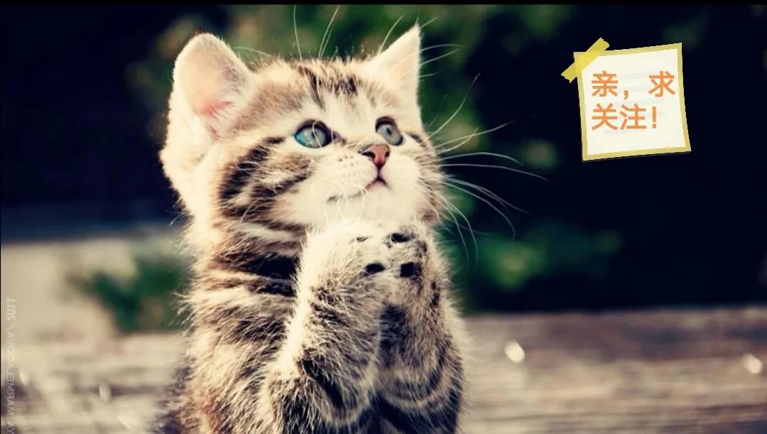 四本幽默搞笑小说笑点十足剧情,搞笑小说推荐全篇