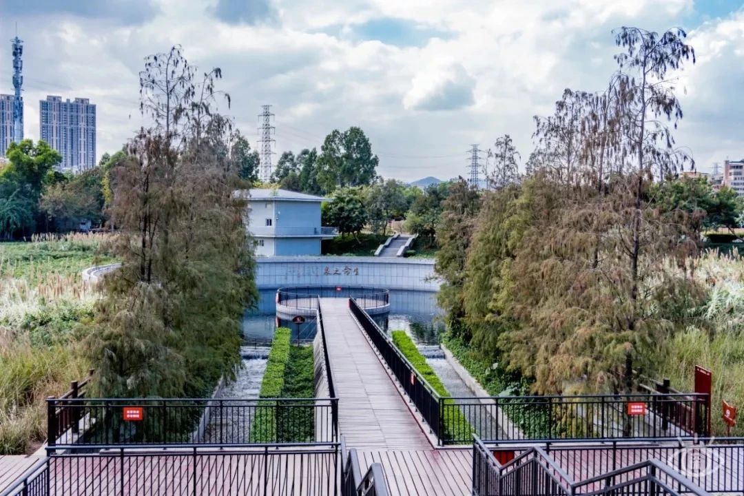 天下最美湖泊西湖,比西湖更美的湖泊