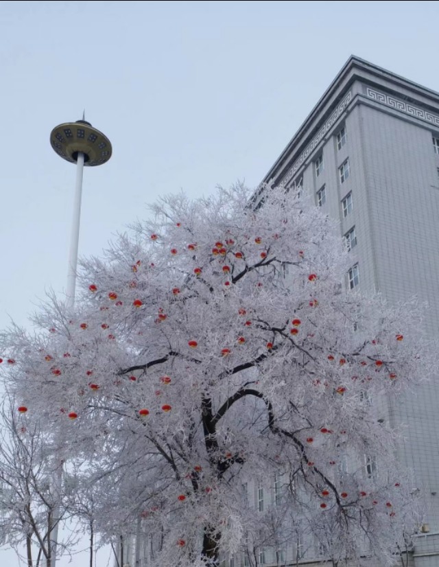 天山雪的现代诗歌,北国雪诗歌原文