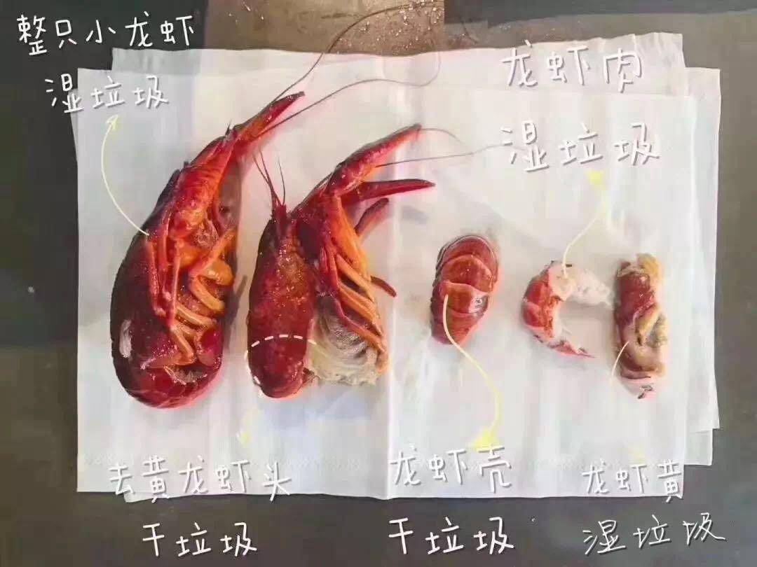 vivojovi唤醒语音助手,vivojovi语音助手彩蛋