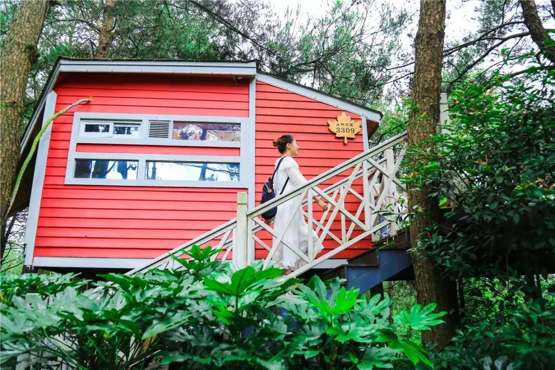 贵阳最快到达的“树屋王国”，一个童话照进现实的地方