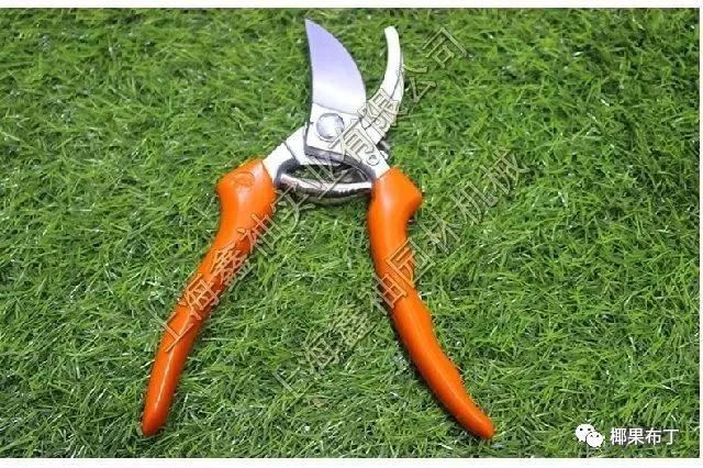 最好用的园艺剪刀排名,园艺剪刀哪个品牌最好
