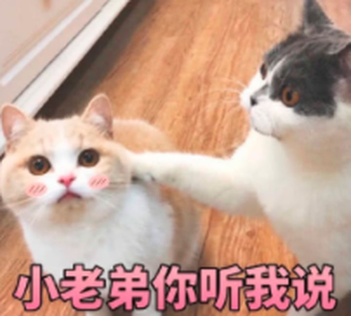 广东省内同时在两个城市购买社保,省内两个城市同时买社保怎么合并