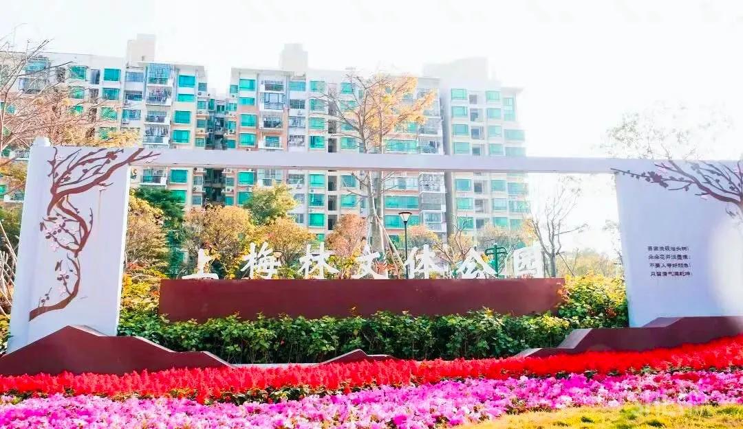 4号线值得逛的地方,9号线有什么地方可以玩