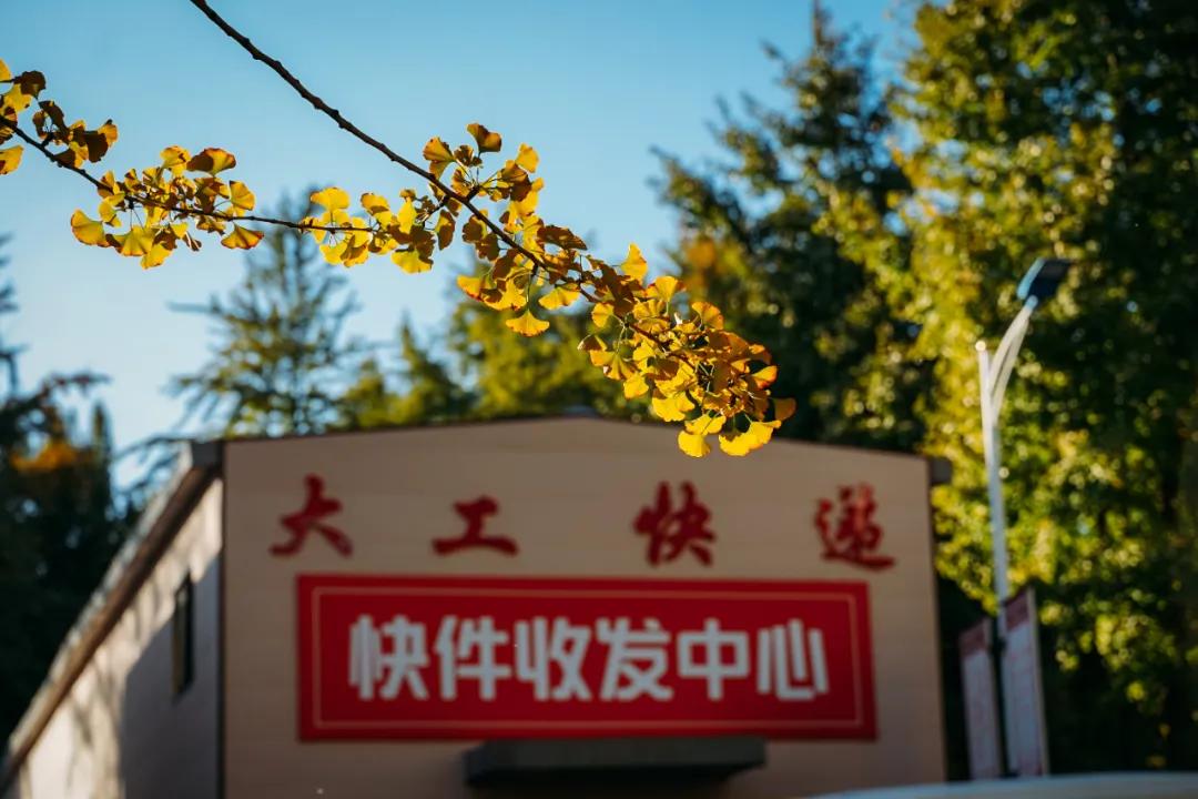 醉美大工秋|读书不觉已秋深，____________