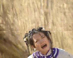 赵薇个人简短经历,赵薇不为人知的故事