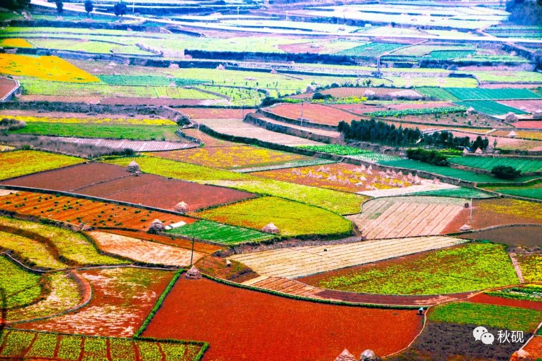 周游西南随记(六)弥蒙的万峰林