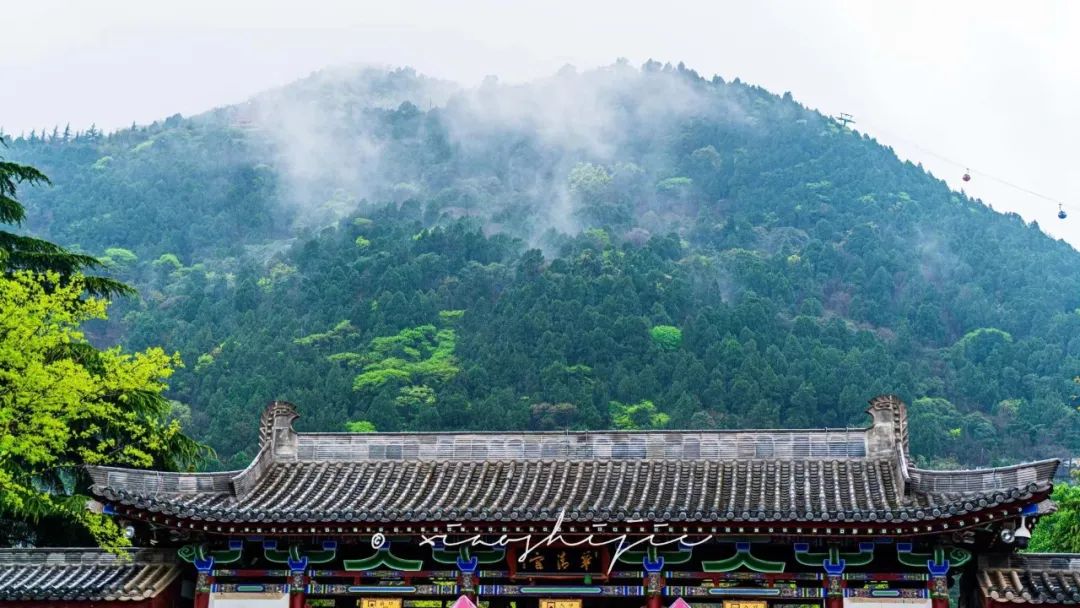 叮咚出行优惠,叮咚出行好吗