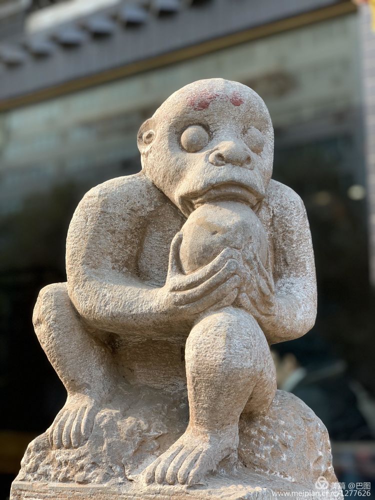 涧西牡丹广场老照片,洛阳牡丹手机拍照