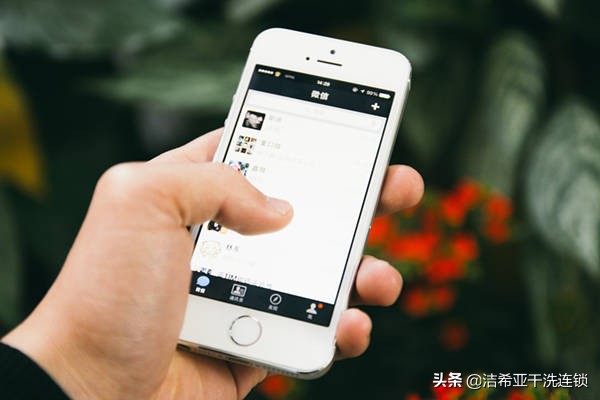 男子一周没回办公室，新买茶台竟长出这个，网友建议吃掉