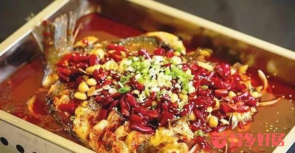 纽约留学和租房哪个好申请,纽约留学租房攻略