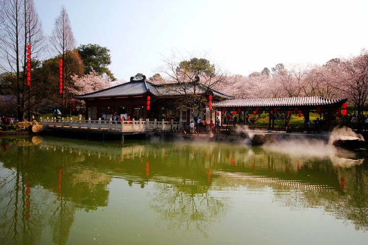 鑻遍泟褰掓潵妯辫姳鏈夌害,妯辫姳鐩涘紑鑻遍泟褰掓潵瀹屾暣瑙嗛