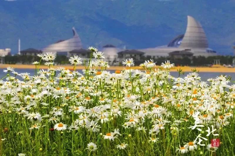 北仑旅游攻略大全集,北仑旅游攻略