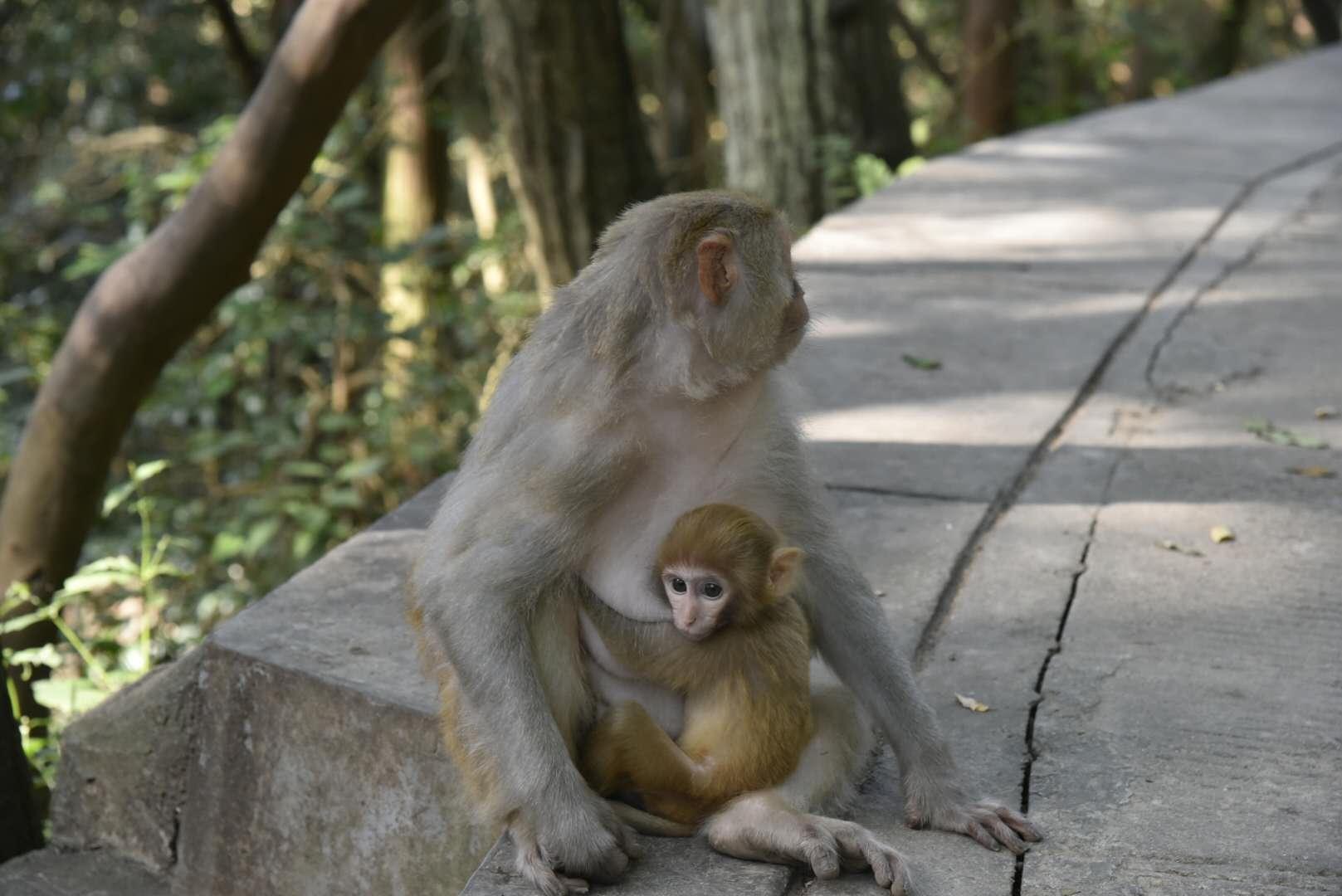 和陌生人线下聊天,与本地陌生人聊天