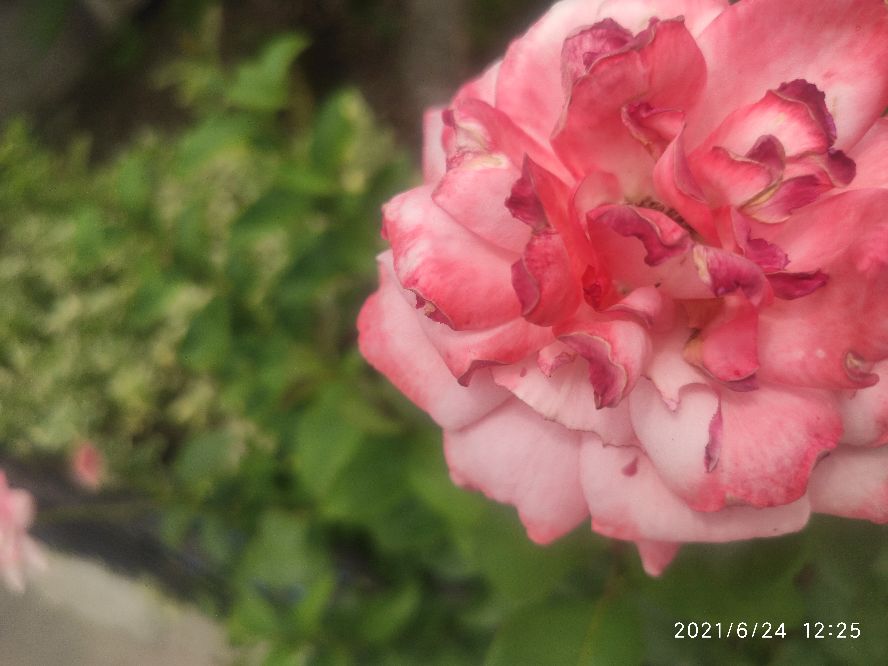 做一个有脾气的人是在保护好自己,做一个有脾气的人要学会忍耐