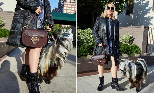 奢侈品鉴定师考证,coach托特蔻驰包怎么辨别真假